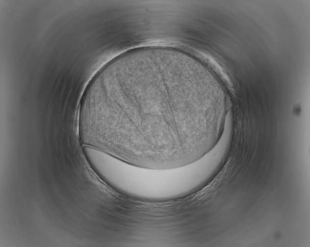 X0000116801276201001291532