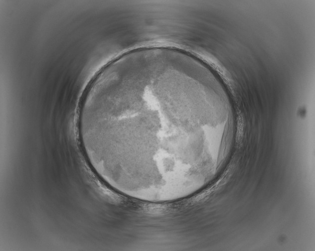 X0000116801278201001291532