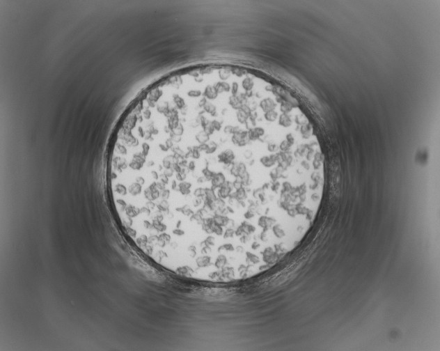 X0000116801280201001291532