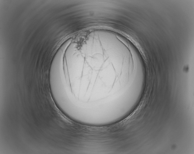 X0000116801281201001291532
