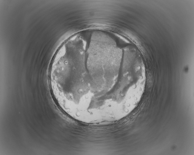 X0000116801283201001291532