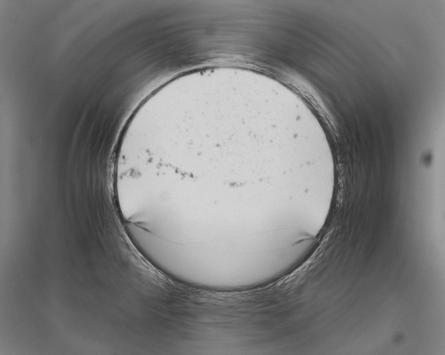 X0000116801284201001291532