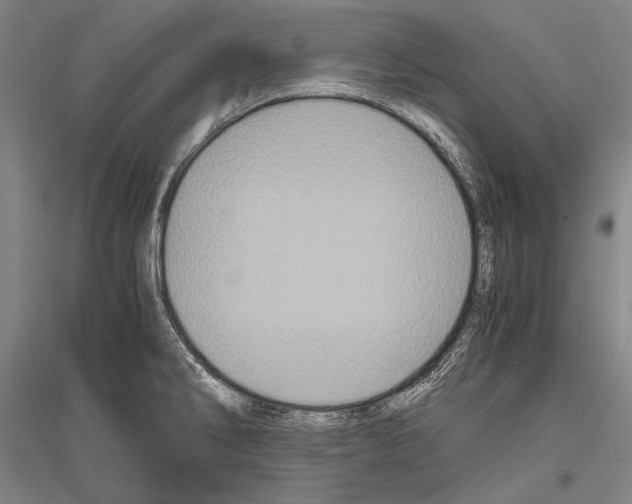 X0000116801286201001291532