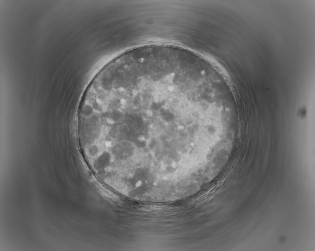 X0000116801287201001291532