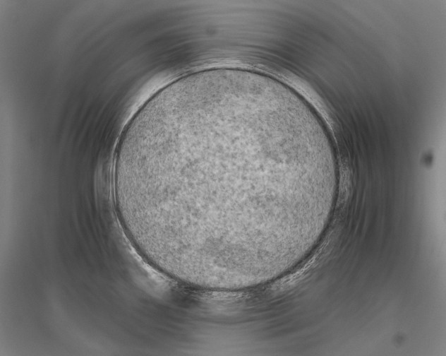 X0000116801290201001291532