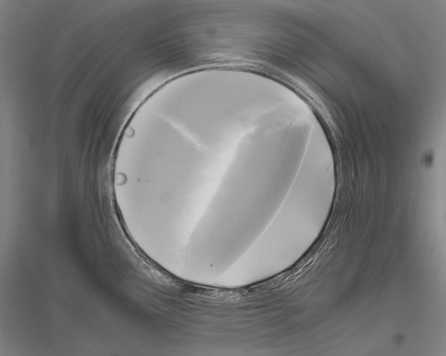 X0000116801291201001291532