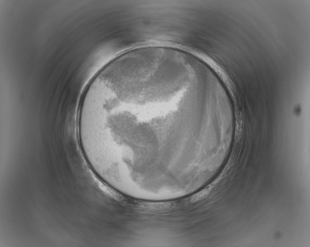 X0000116801294201001291532