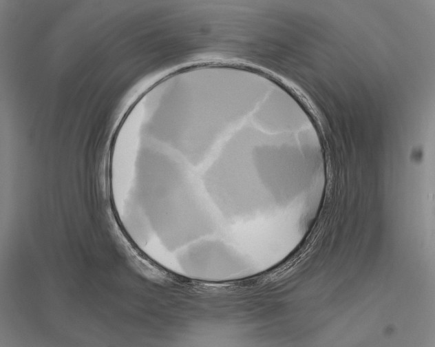 X0000116801295201001291532