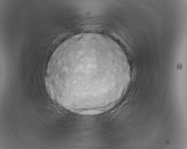 X0000116801297201001291531