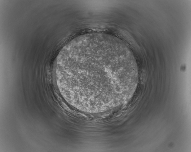 X0000116801298201001291531