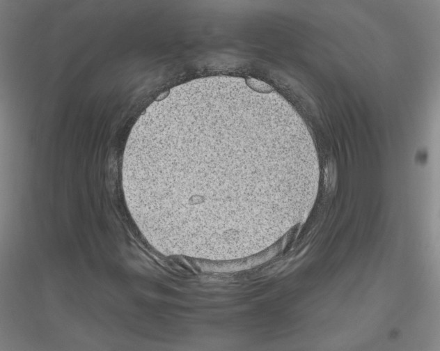 X0000116801299201001291531