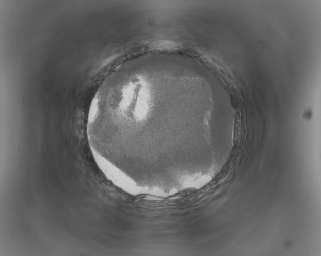 X0000116801301201001291531