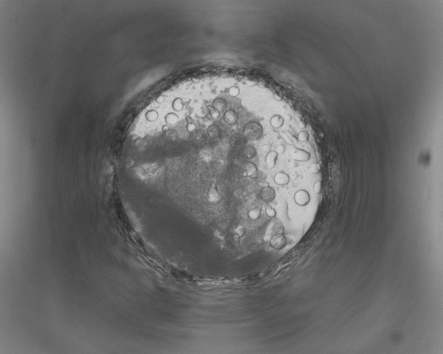 X0000116801302201001291531