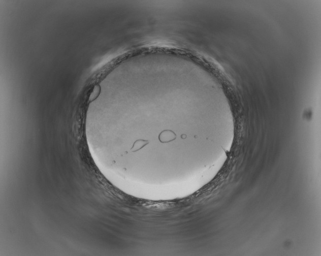 X0000116801303201001291531