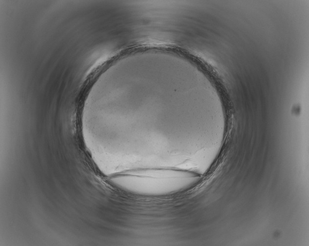 X0000116801306201001291531