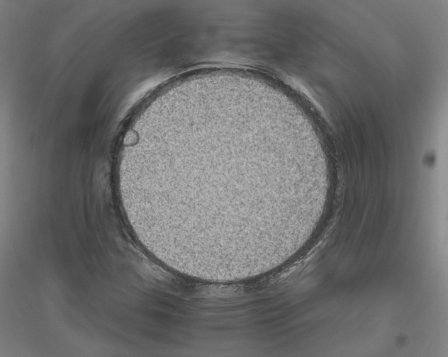 X0000116801307201001291531