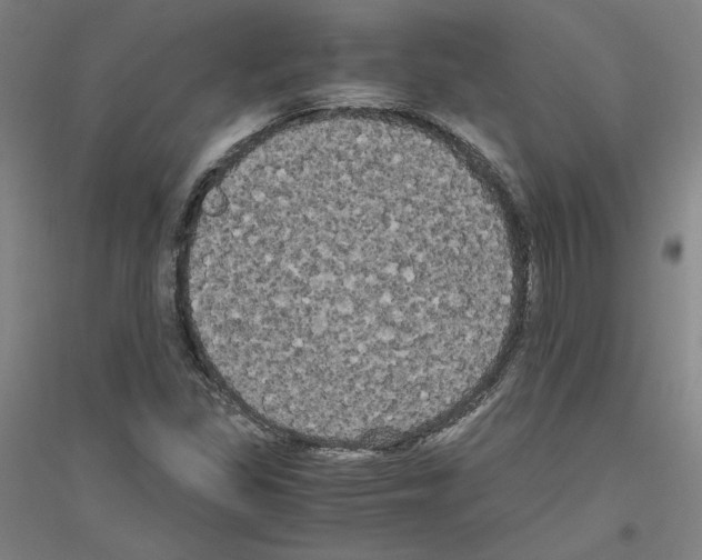 X0000116801309201001291531