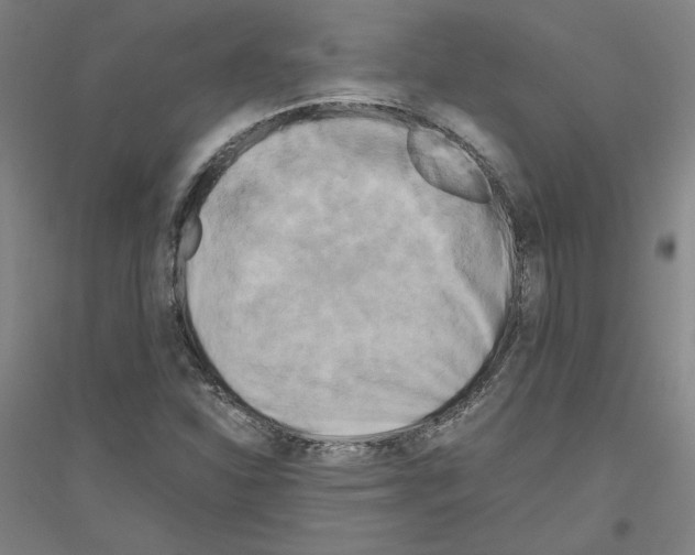 X0000116801310201001291531
