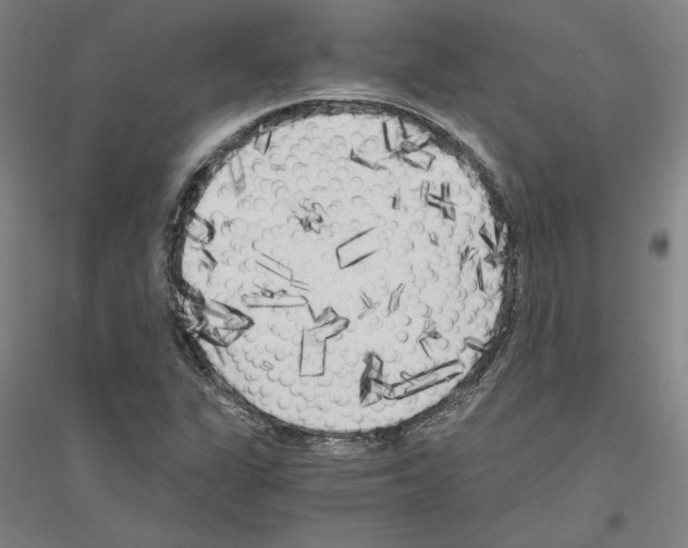 X0000116801311201001291531