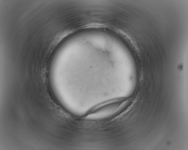 X0000116801313201001291532