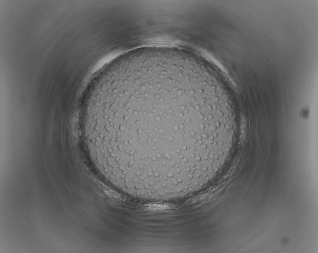 X0000116801315201001291532