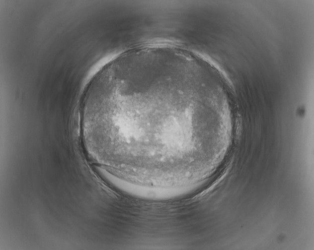 X0000116801317201001291532