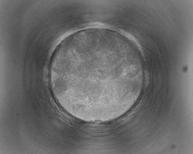 X0000116801318201001291532
