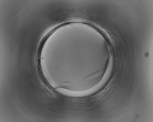 X0000116801319201001291532