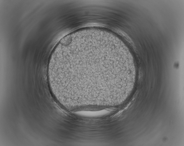 X0000116801321201001291532