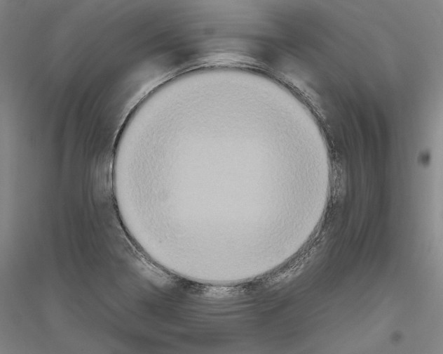 X0000116801322201001291532
