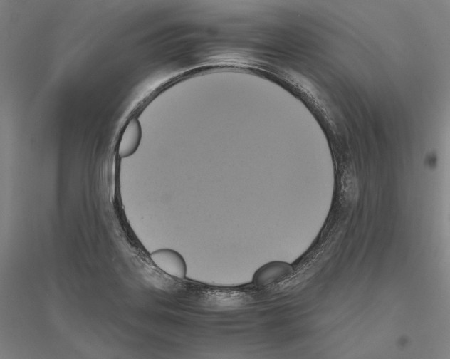 X0000116801323201001291532