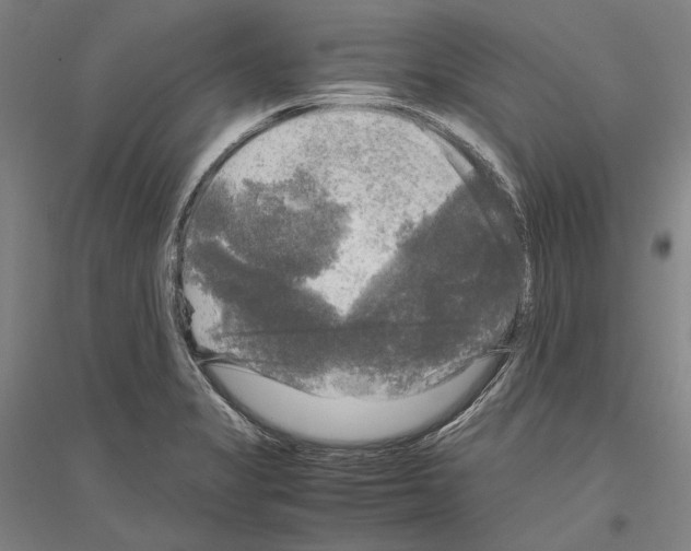 X0000116801325201001291532