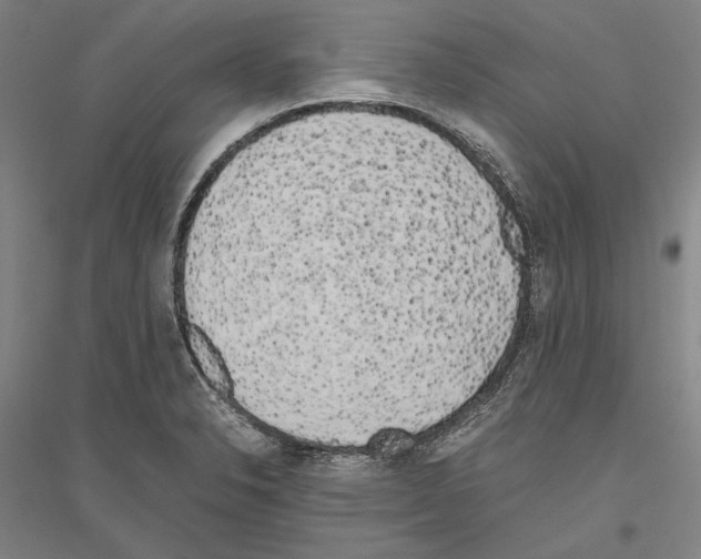 X0000116801326201001291532