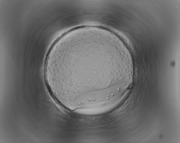 X0000116801327201001291532