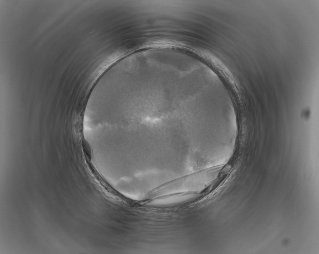 X0000116801329201001291532