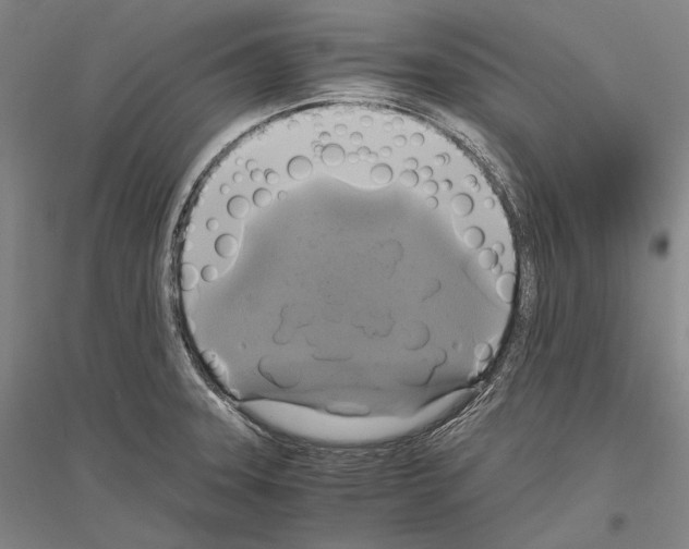 X0000116801331201001291532