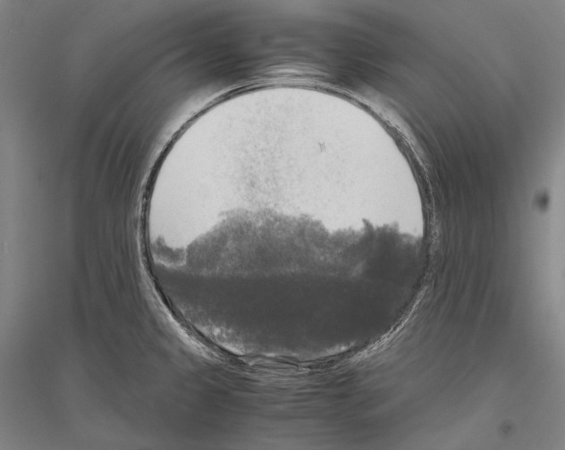 X0000116801333201001291532