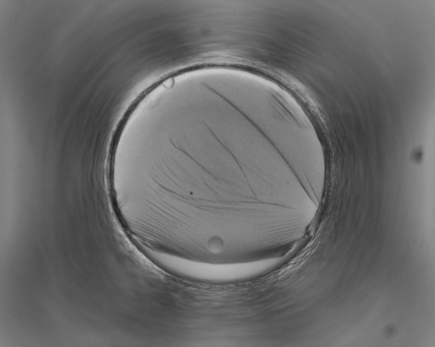 X0000116801334201001291532