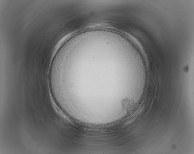 X0000116801338201001291532