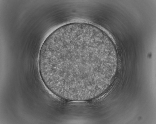X0000116801343201001291532