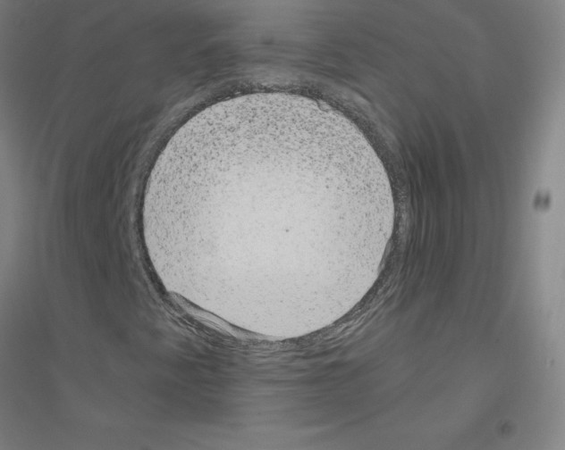X0000116801345201001291531