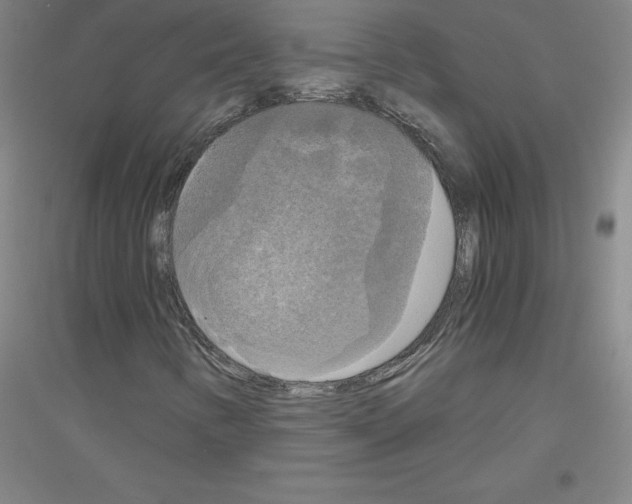 X0000116801346201001291531