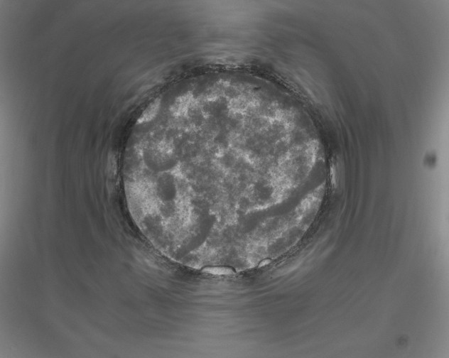 X0000116801347201001291531