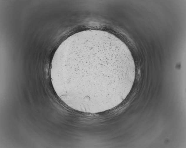 X0000116801348201001291531