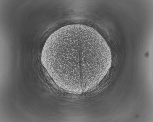 X0000116801349201001291531