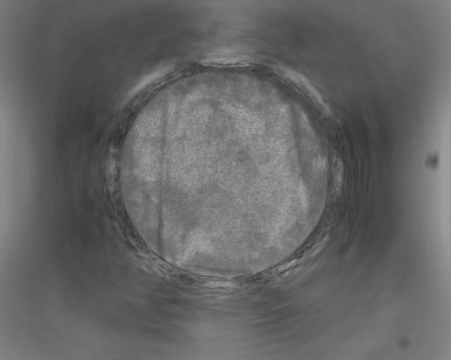 X0000116801350201001291531