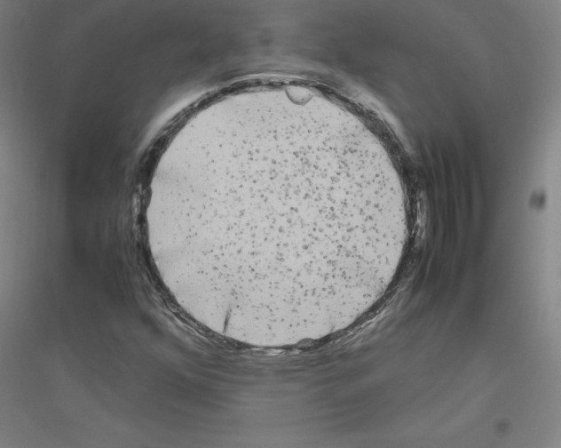 X0000116801352201001291531