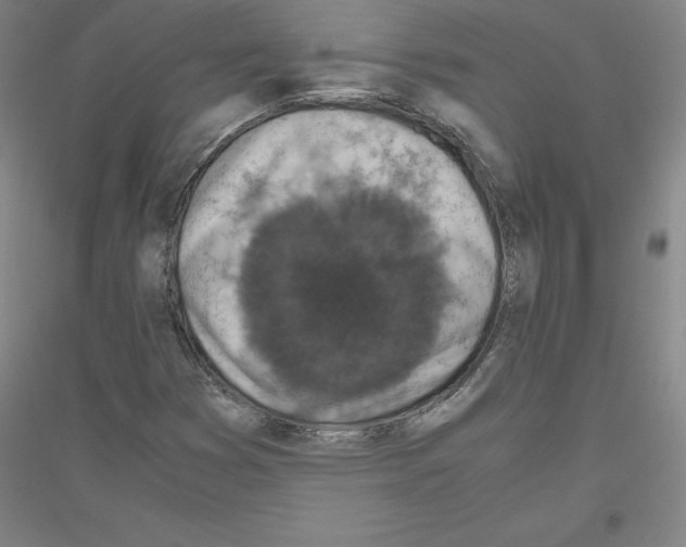 X0000116801353201001291531