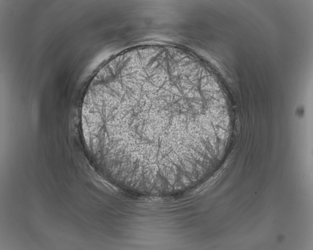 X0000116801355201001291531