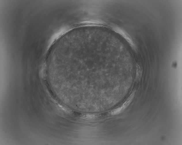 X0000116801357201001291531